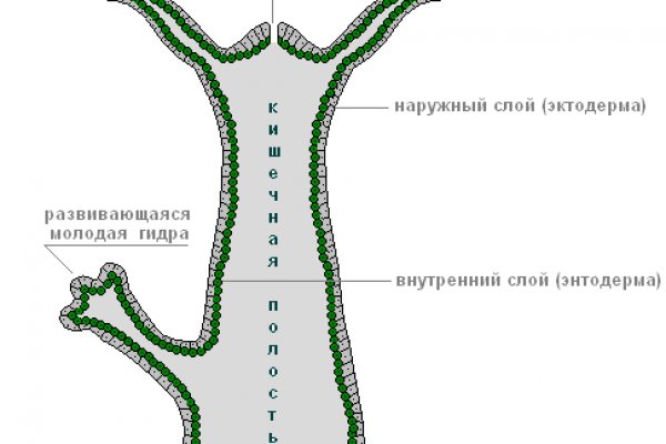 Пользователь не найден кракен даркнет