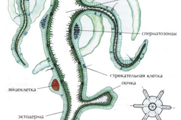 Кракен сайт маркетплейс