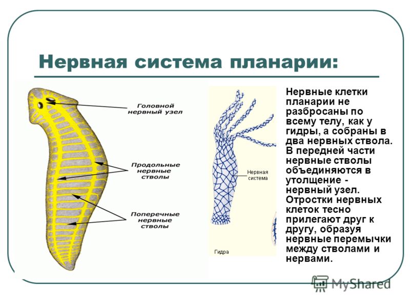 Кракен запрещенные вещества